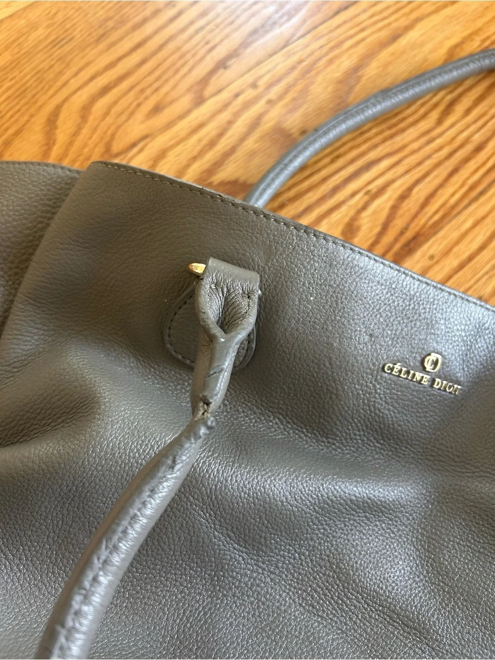 Celine Dion this handbag